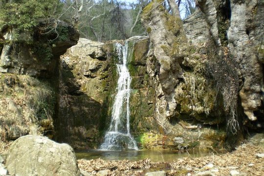 Tour image 1