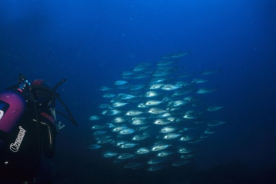 Tour image 2