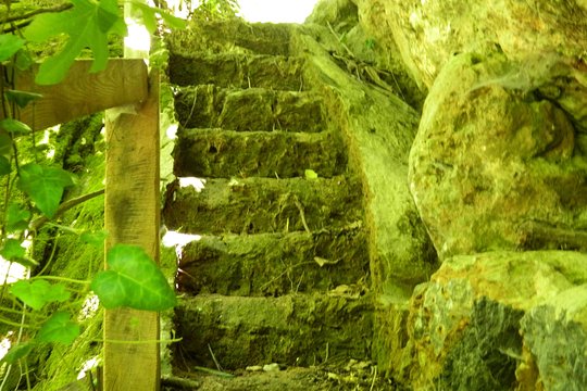 Tour image 2
