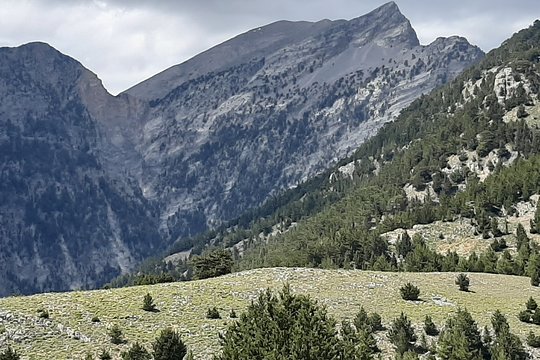Tour image 1