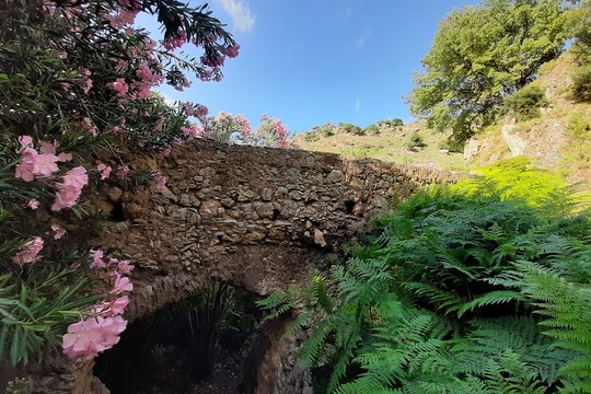 Tour image 10