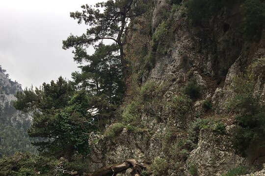 Tour image 12