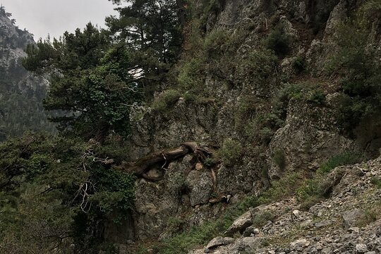 Tour image 13