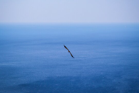 Tour image 11